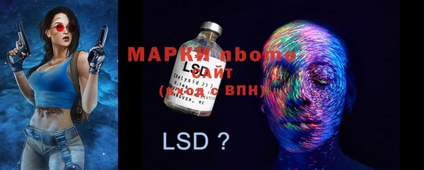 хмурый Кемь
