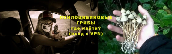 бошки Михайловка