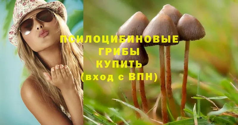 Галлюциногенные грибы MAGIC MUSHROOMS  MEGA как зайти  Любим 