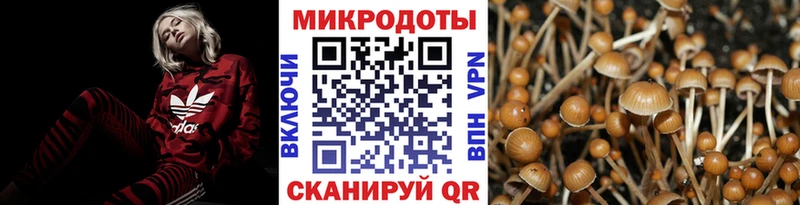 цена наркотик  blacksprut рабочий сайт  Псилоцибиновые грибы мицелий  Любим 